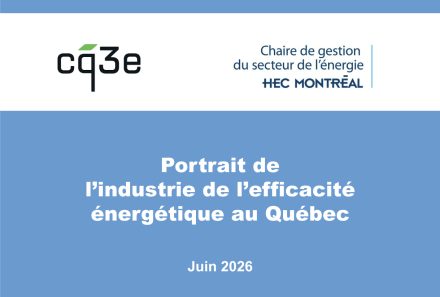 Portrait de l&rsquo;industrie de l&rsquo;efficacité énergétique au Québec